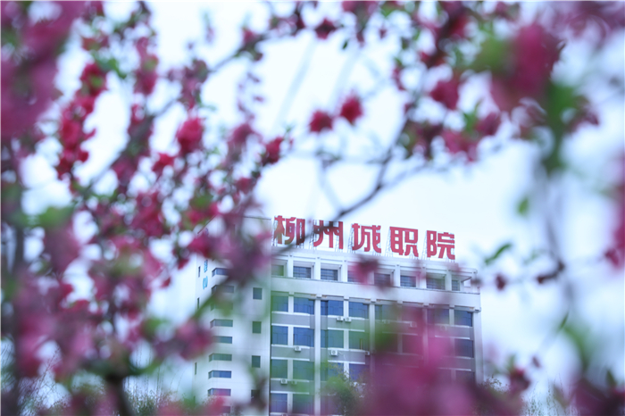 柳州城市职业学院